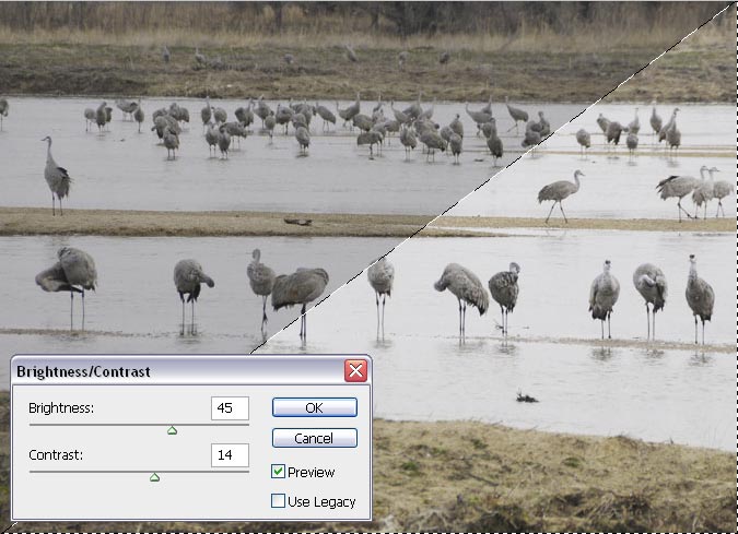 Brightness and Contrast in Photoshop Brightness and Contrast in Photoshop