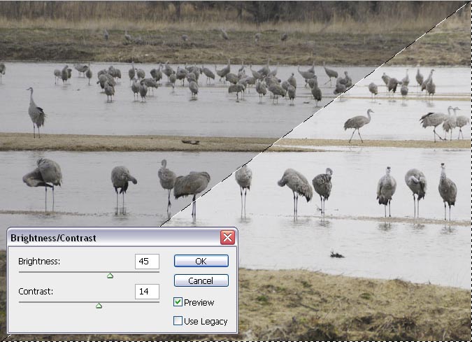 Brightness and Contrast in Photoshop