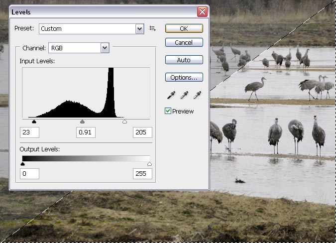 Using Levels in Photoshop Using Levels in Photoshop